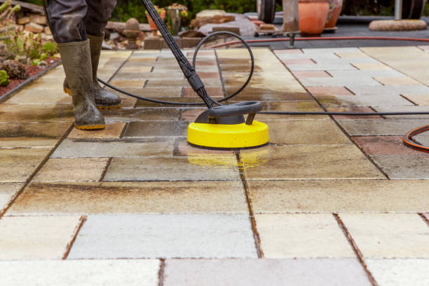 Best House Exterior Washing  in Nicholls, GA